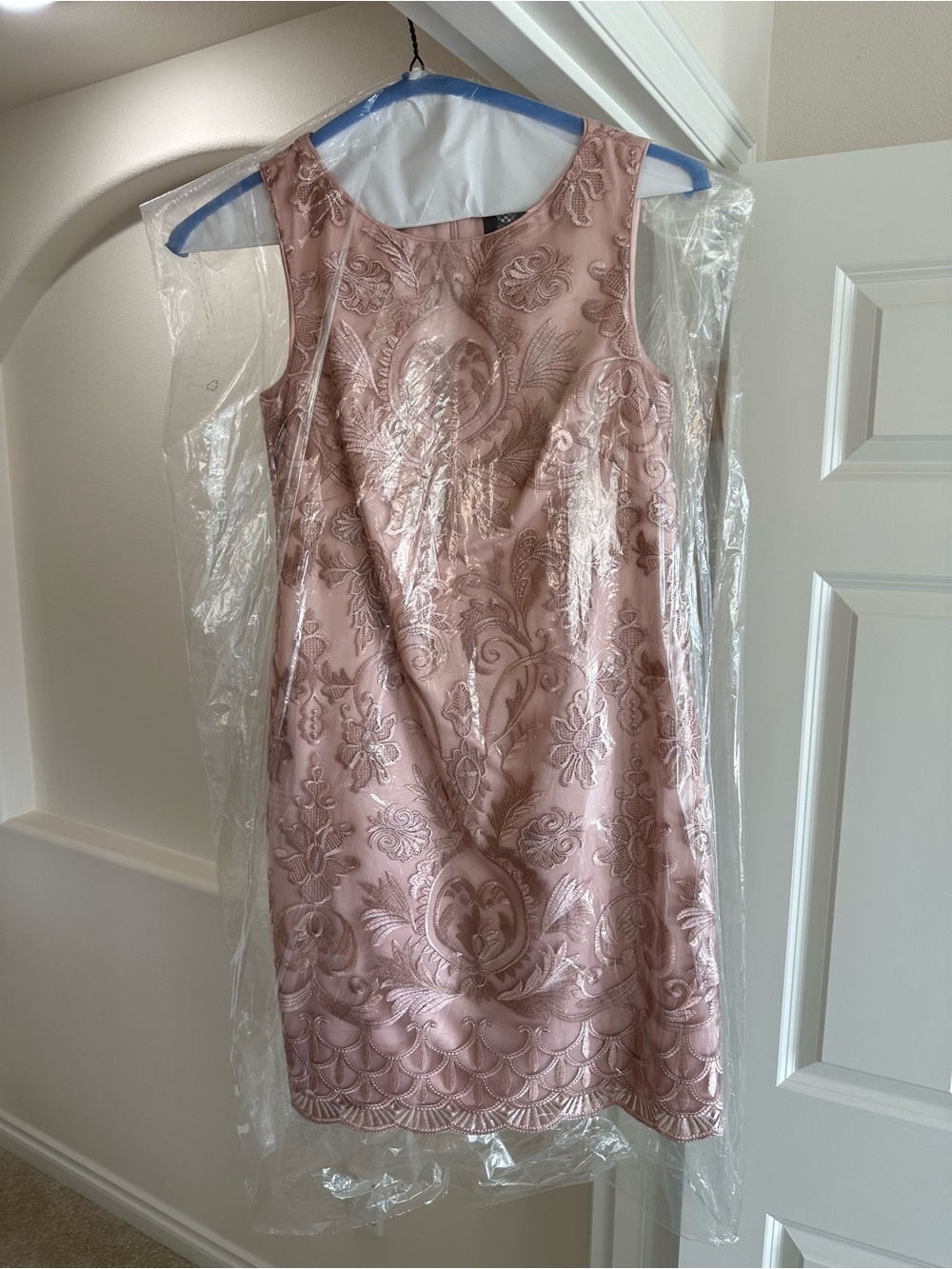 Gorgeous Vince Camuto Blush dress